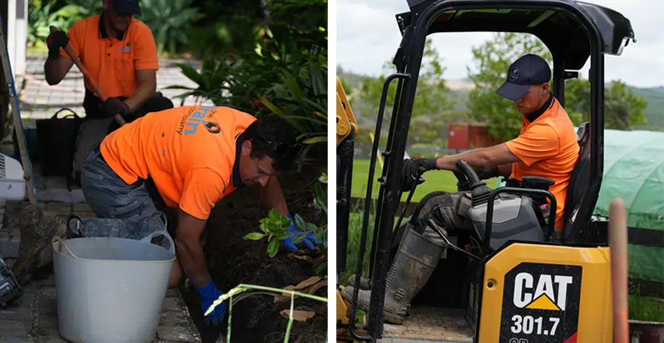 Drain Repairs Auckland Drain Repairs Auckland